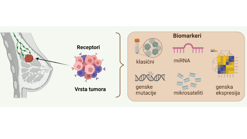 tumori kod žena tumori kod žena, rak dojke