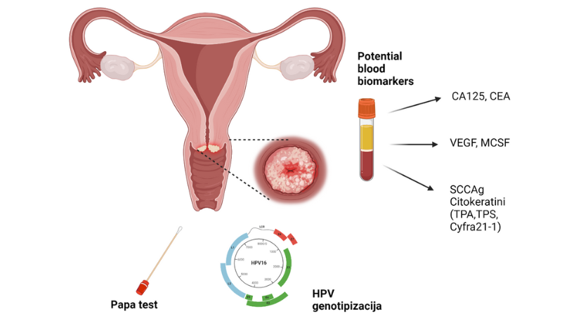 HPV, PAPA test PAPA test, HPV